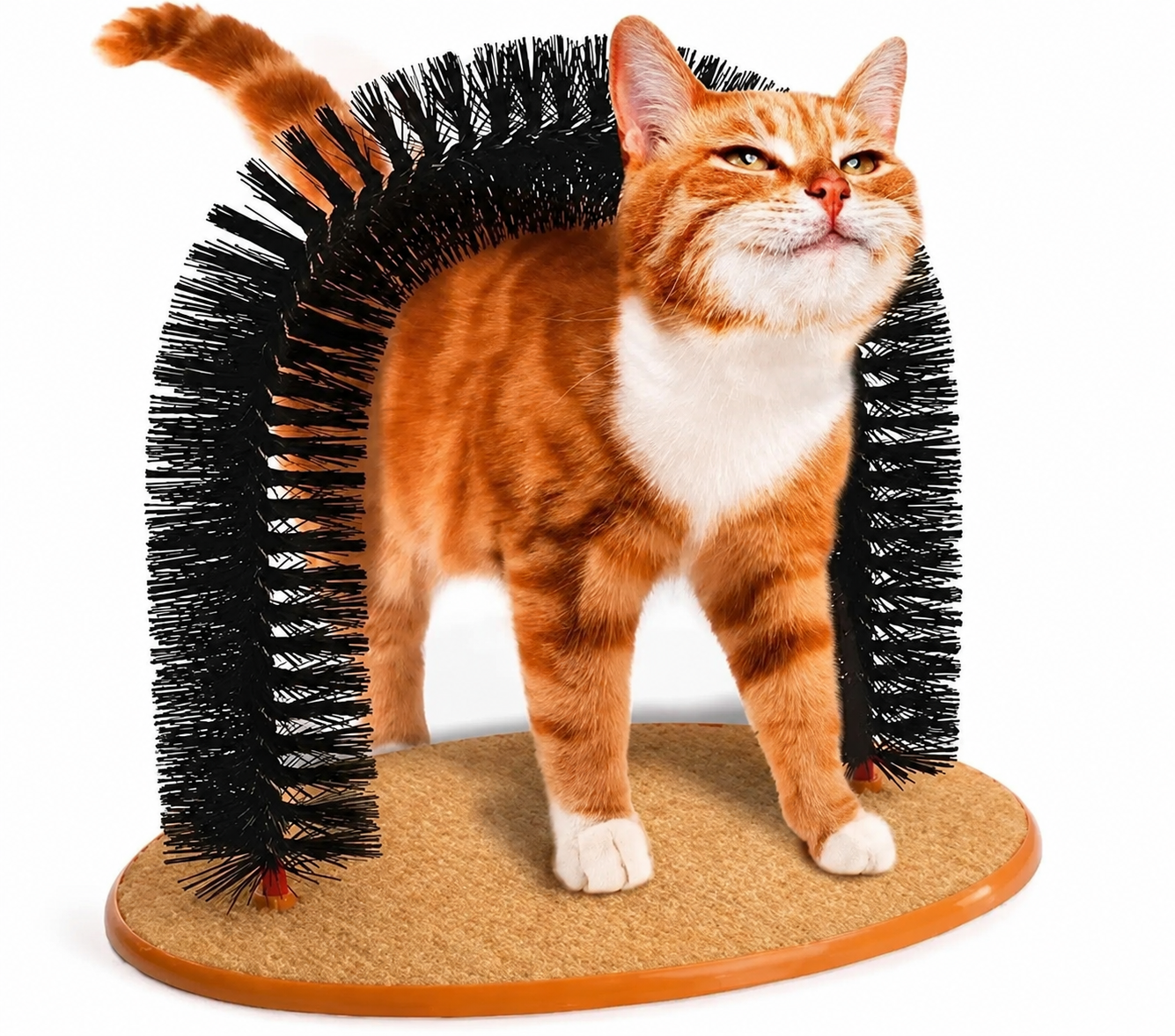 Arcade de Massage Autonettoyante pour chat