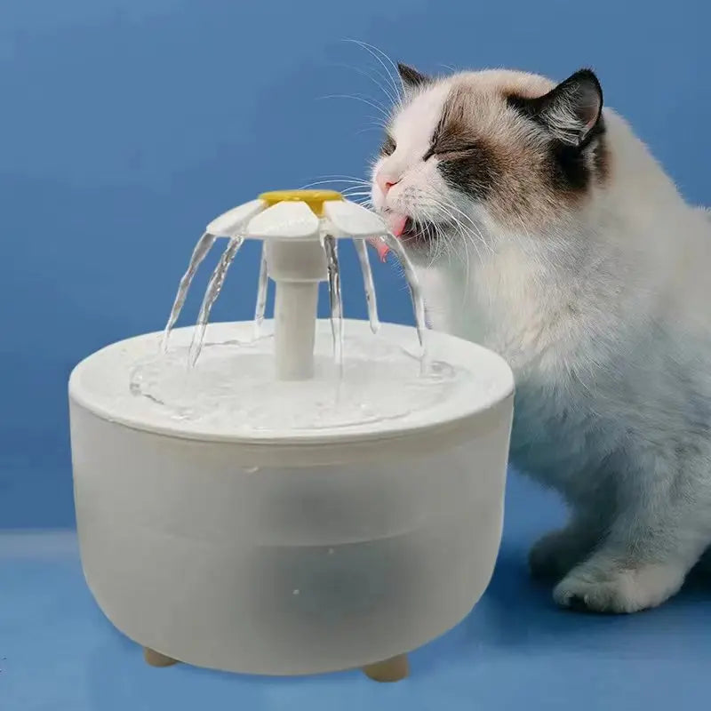 Filtered Water Fountain for pets