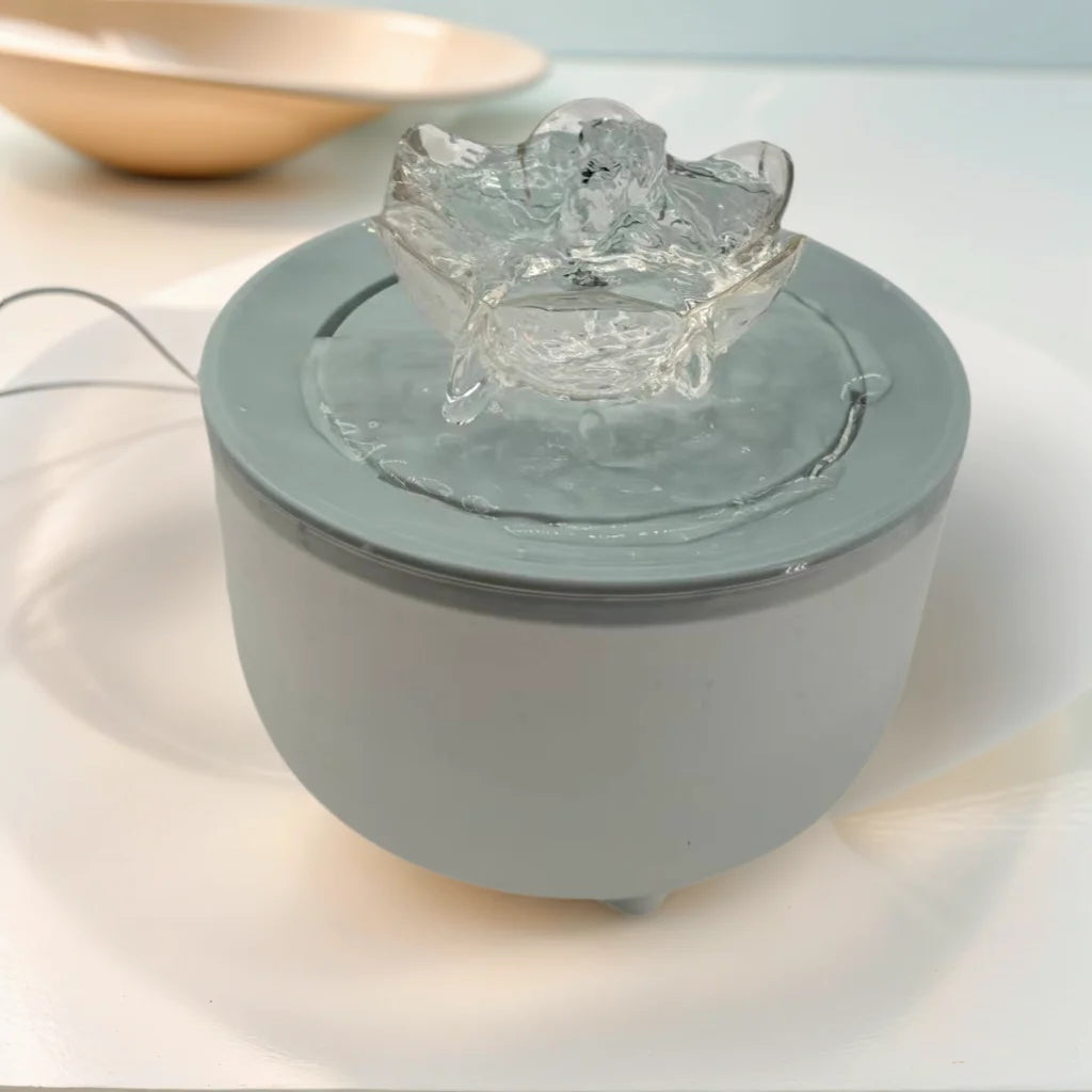 Filtered Water Fountain for pets